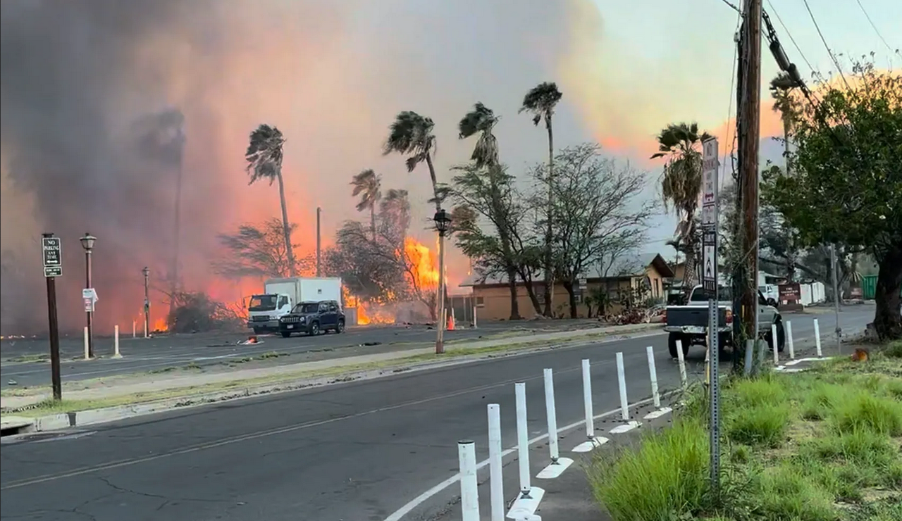 Incendios en Hawái: recuento de la catástrofe