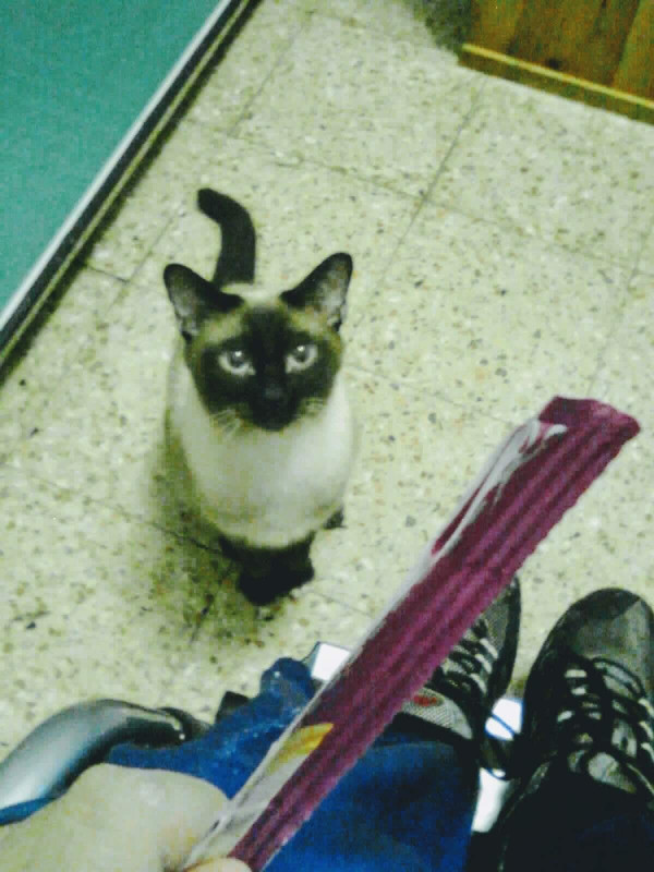 1680956701178_immag0335-001_001-001_002-001(1)