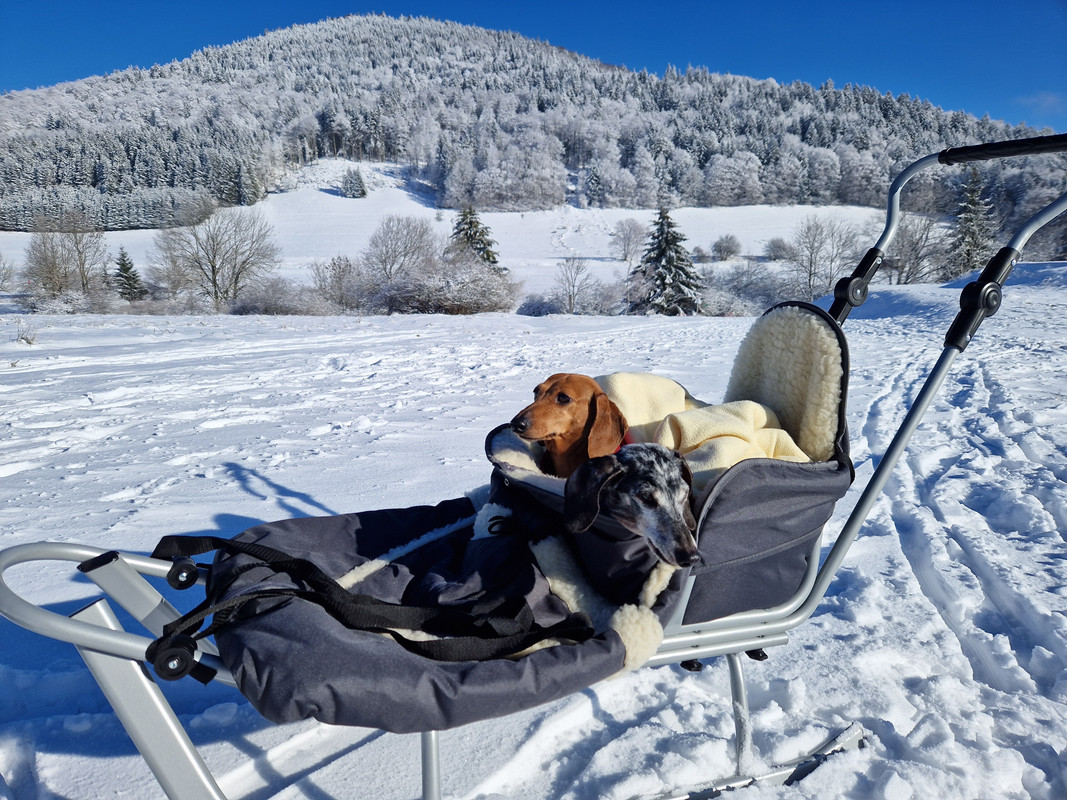 [Image: 20240120-141023.jpg]