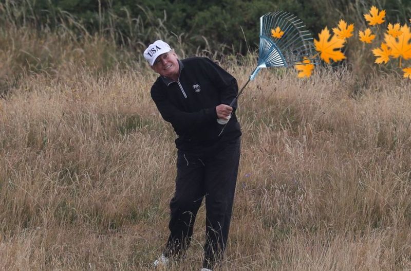 Image: https://i.postimg.cc/gkx7gxJL/Rake-two.jpg