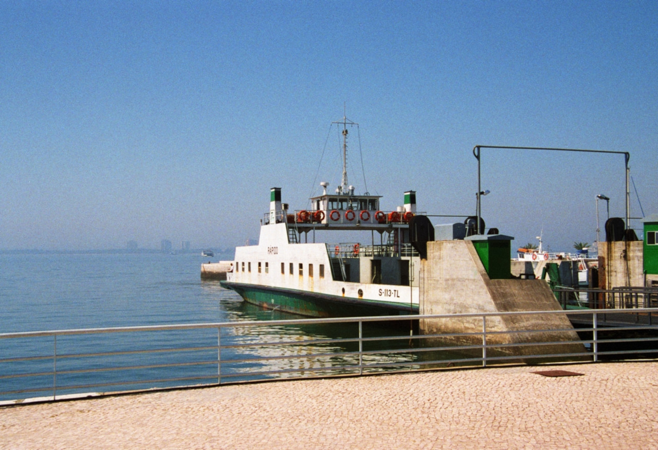 p6.jpg
