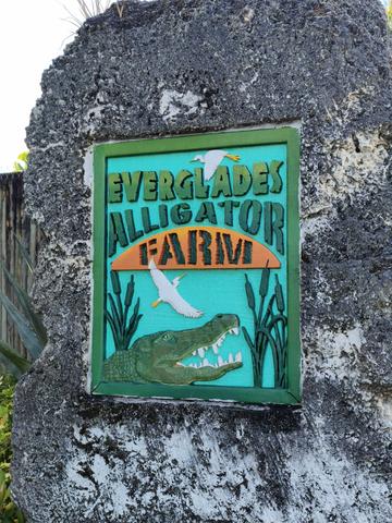 **Día 4 (21 junio): Everglades - Islamorada - Marathon - Miami y Nueva York (Verano del 2026) (1)