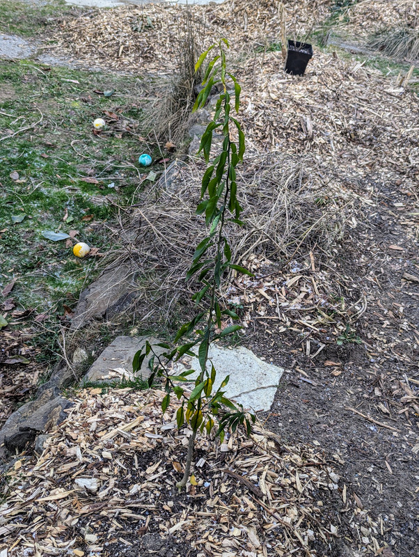 PXL_20240114_175908431