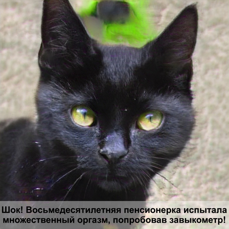 кошка пьет воду