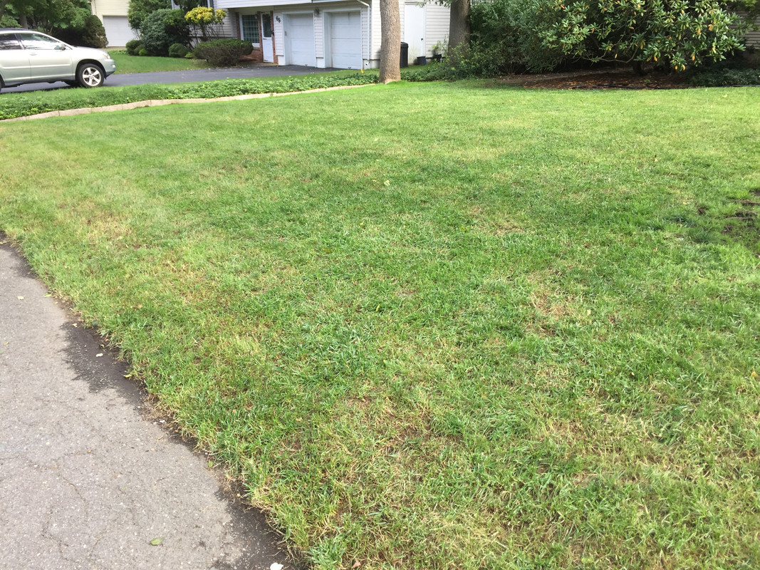 0E6039E4-A153-4D1F-8E21-A3F517133D69