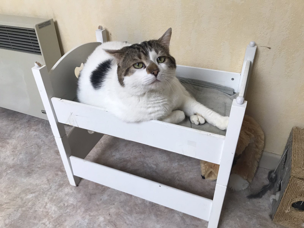 D9A1351E-D132-4BE9-8355-5083133F8A4A