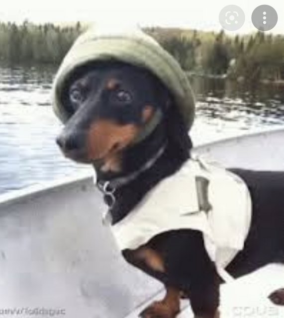 [Image: 1-E1927-F7-4-AAB-4-EF3-B17-C-7-D7605-C2-ADAE.jpg]