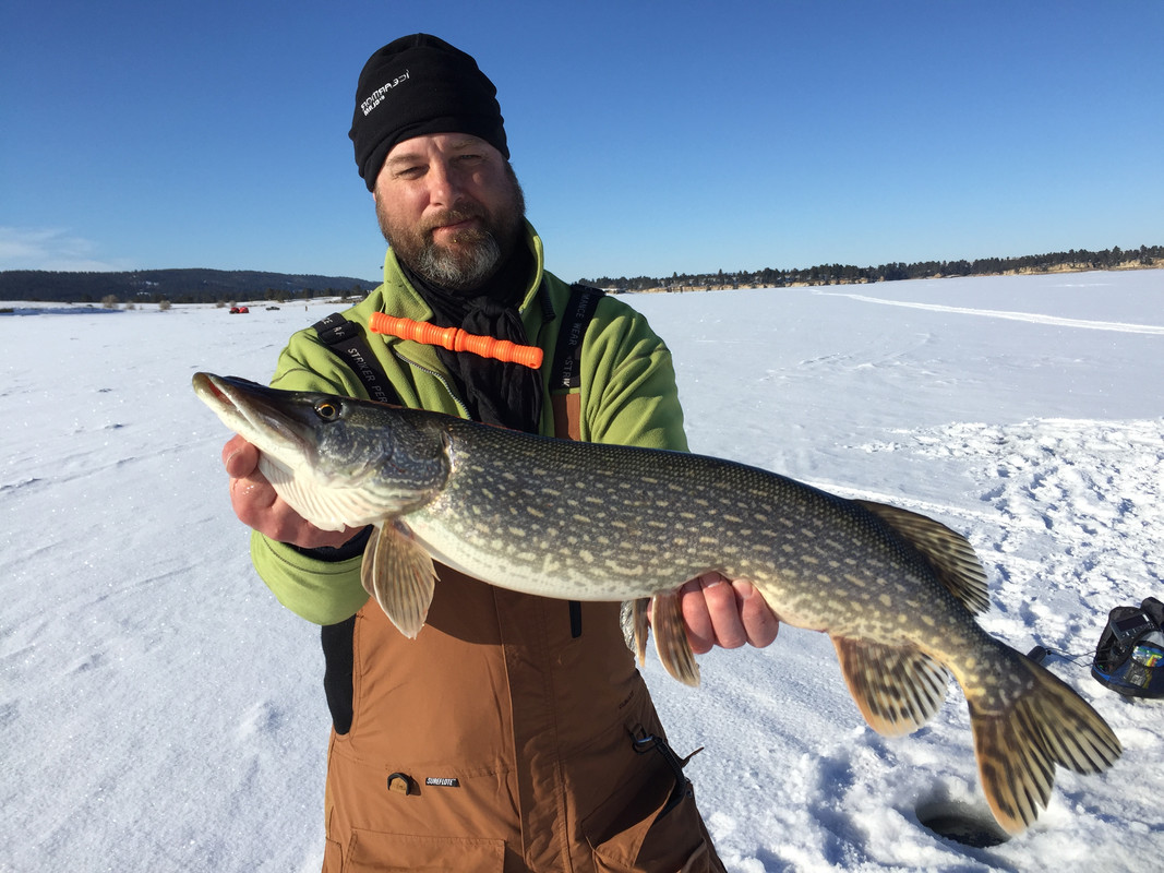 D20C29C2-0F34-4E40-8CB4-3AEAEB316F3F