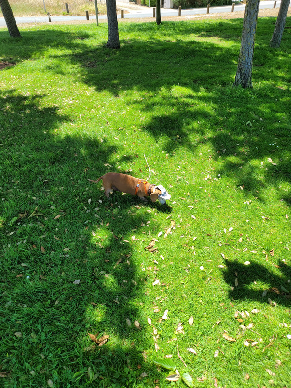 [Image: 20210614-135119.jpg]