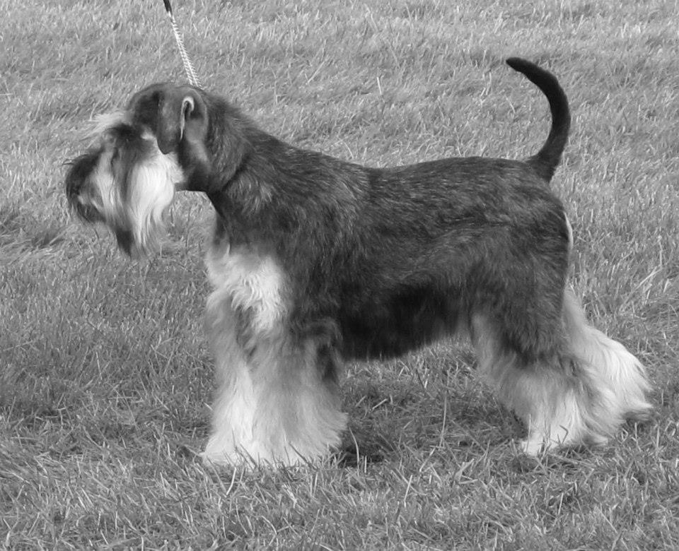 9168030E-E3FF-46D4-9766-C5C1A80094DC