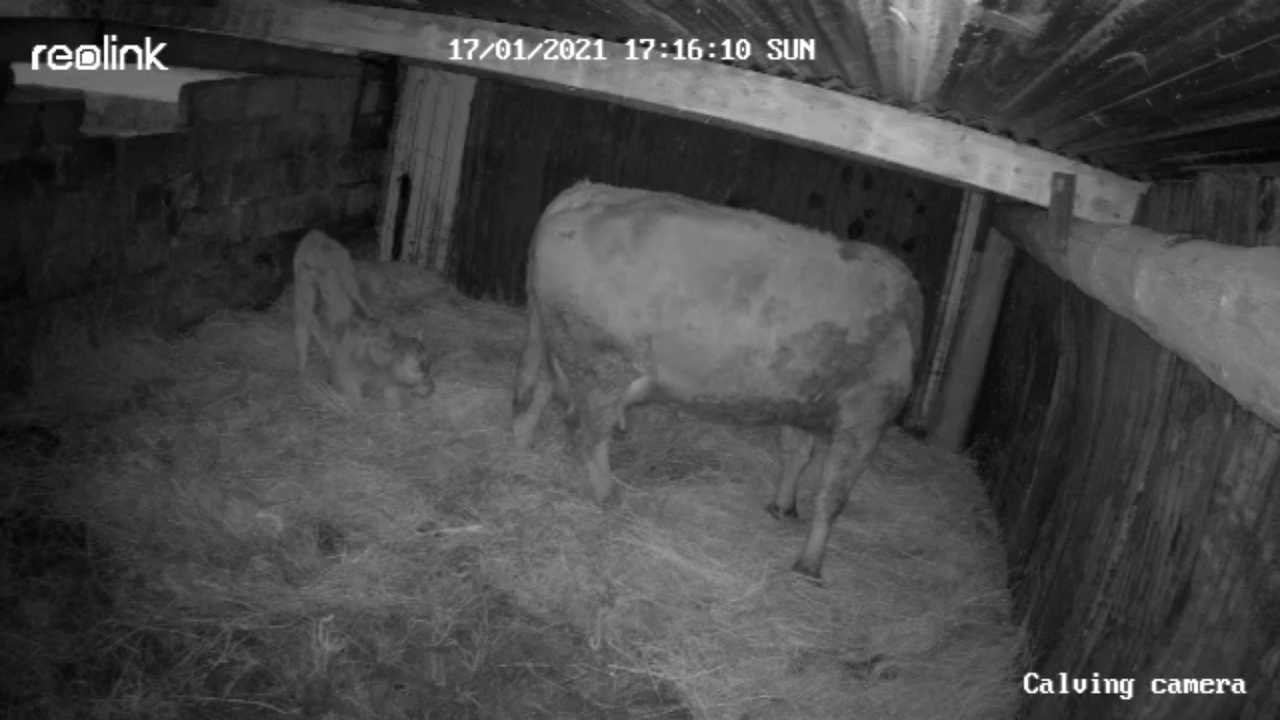 65F83573-3209-4AB9-B1CD-B61863047272