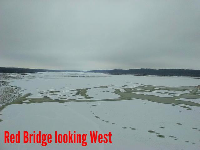 aviary-image-1517760964836