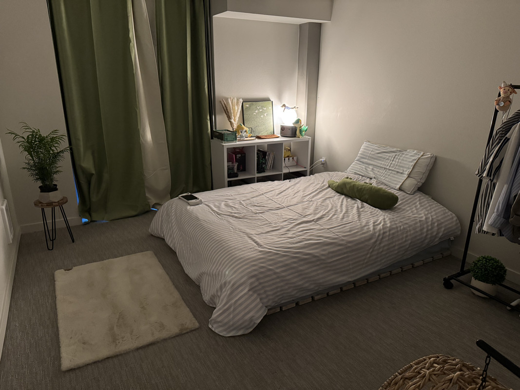 我的夏日卧室·夜 drawing