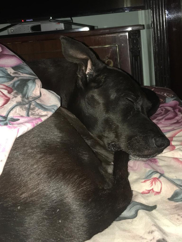 C9A8905B-800E-4C00-B1CE-CC418E4BFA90