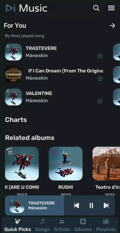 Download RiMusic APK