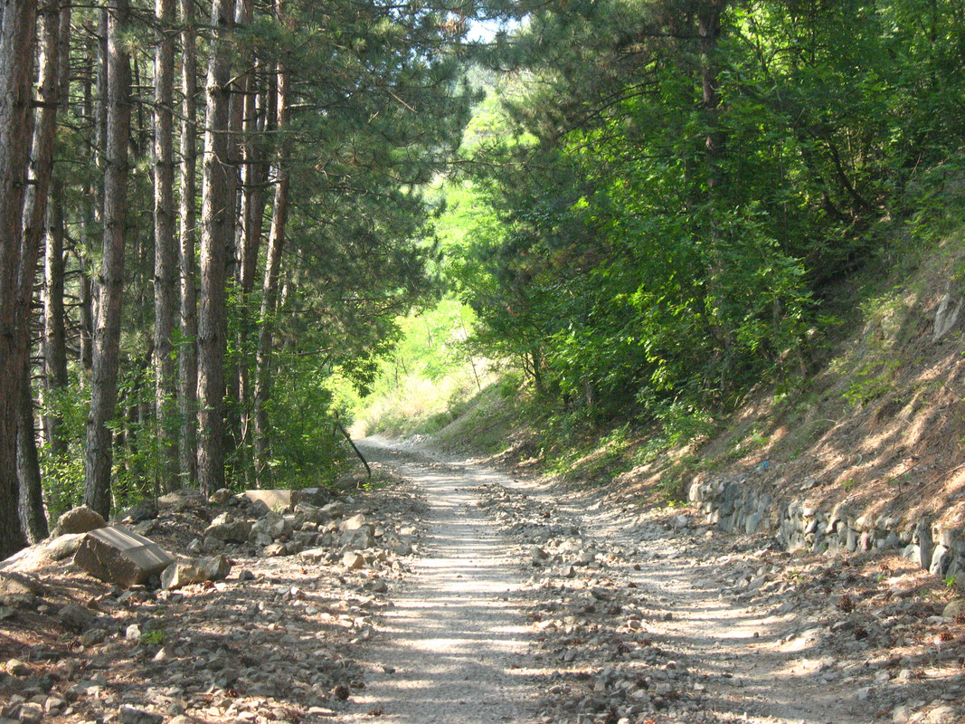 ADP System Pancharevo 2009 (22)