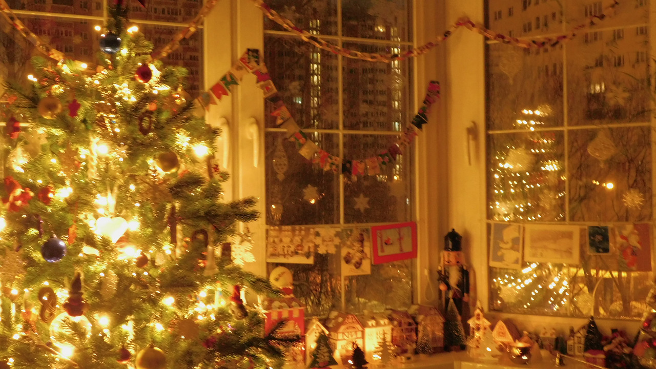 елки в огнях январь 2024 003