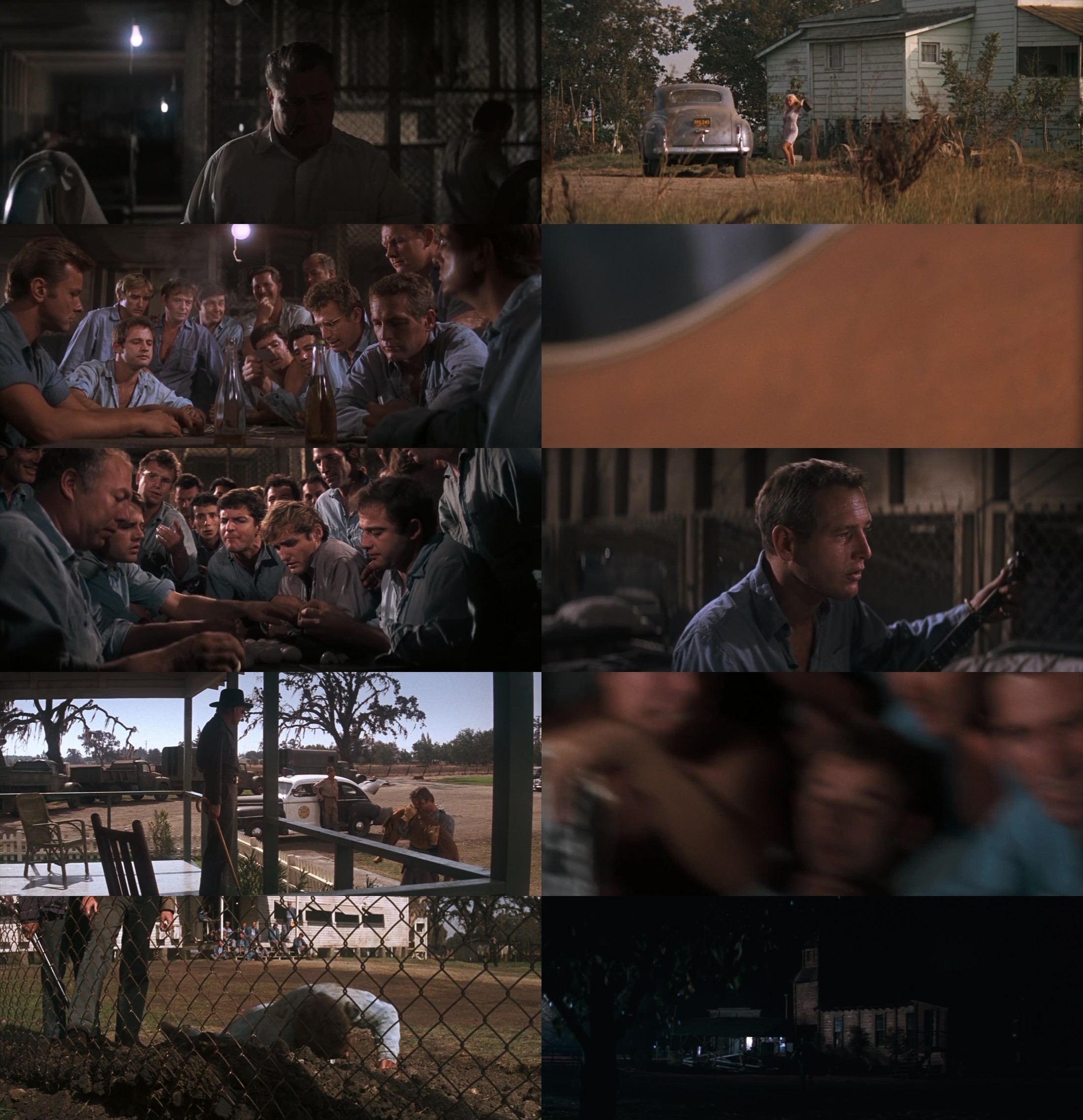 Nick.Mano.Fredda.1967.BRRip.720p.x264.ITA-ENG Scarica Gratis Nick.Mano.Fredda.1967.BRRip.720p.x264.ITA-ENG Scarica Gratis