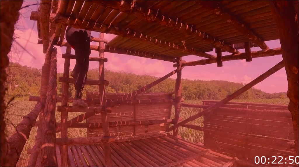 [Image: v33rqem3jgr1.png]