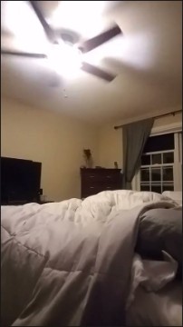 [Image: Voyeur23945122515.jpg]