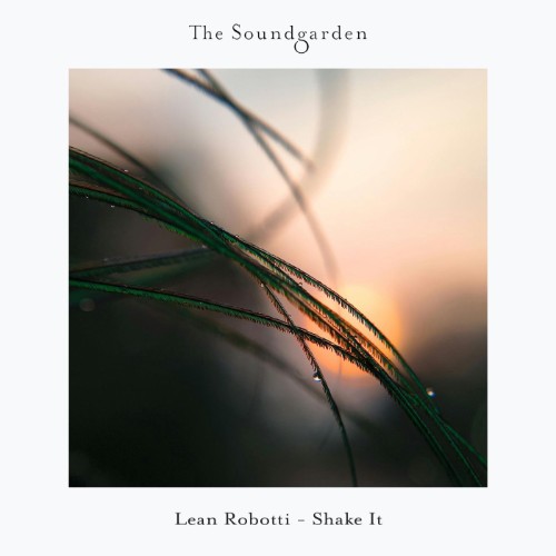 Lean Robotti - She It (2026) MP3