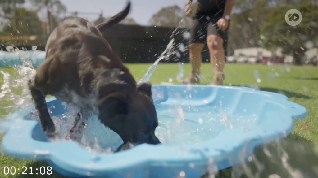 [Image: ceqvr608f9zb.png]