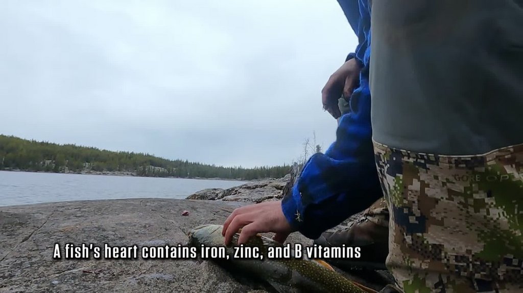 [Image: xg9mhwdv357k.jpg]