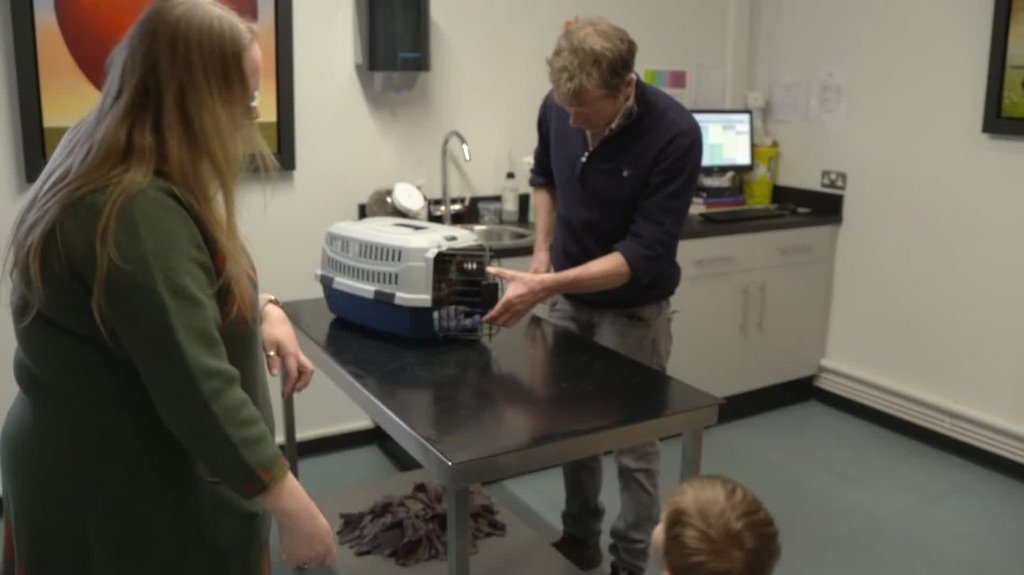 [Image: dc14wcej5ci5.jpg]