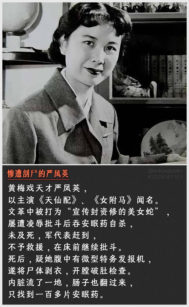 https://i.postimg.cc/gmhVhPgR/2025041101.jpg