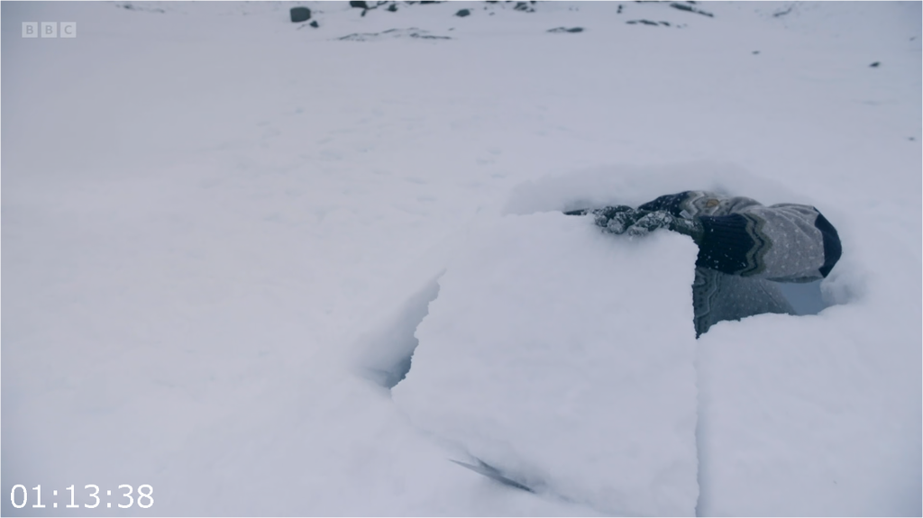 [Image: 0eikd5pb3vv2.png]