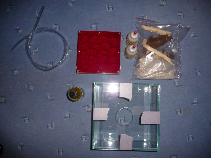 0610-Foranto1.jpg