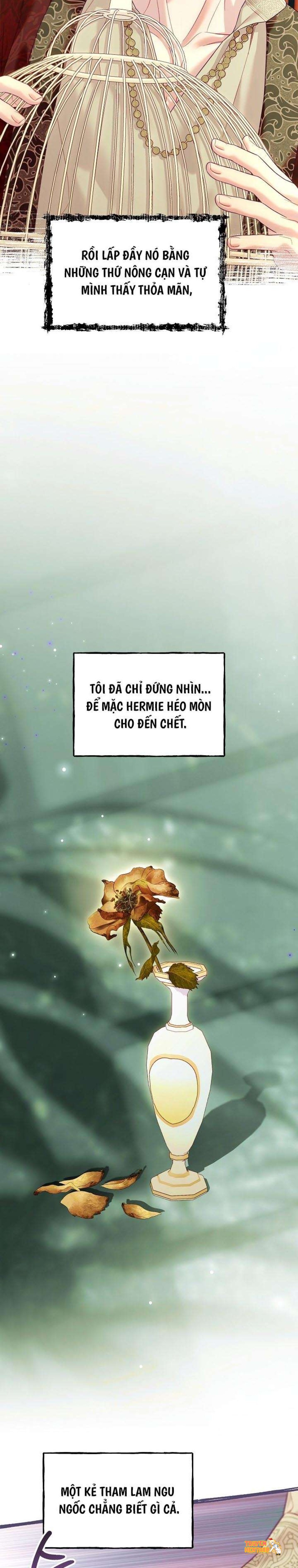 Xem ảnh [18+] Lồng Chim Của Người Sưu Tầm - Chapter 20 - tmp48fhx2df - Truyenhentaiz.net