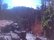 01-(103)