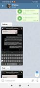 Screenshot_2020-10-28-21-41-22-520_org.telegram.messenger