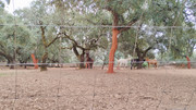 22-26102025