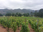 IMG-20241110-122324