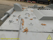 DSCN3687