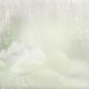 BC-Xmas-In-The-Woods-PP-7