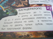 https://i.postimg.cc/gnBKW3zt/100-8109.jpg