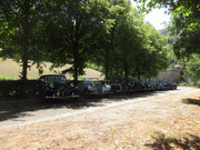 IMG-7798.jpg