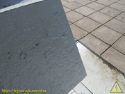 IMG-2074