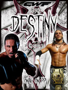 Destiny-2008