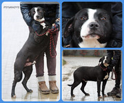 Be-Funky-collage-21.jpg&key=44dccab8be8c