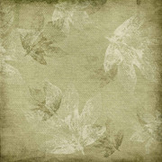 Tangerine-Winter-Kit-23