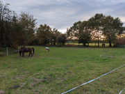 PXL-20211019-164817-P-Z-D4-1Mr-Drew-ZSL-xml