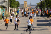 IMG-0460