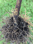 PXL_20240718_134730379