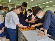 bb3d0fd4-8e8a-4e35-96f7-f6fb1e6df48b