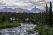 Denali hwy (1 of 1)-3