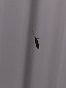 917E245A-A0DB-410D-BFAC-D91F8C5FBB1A